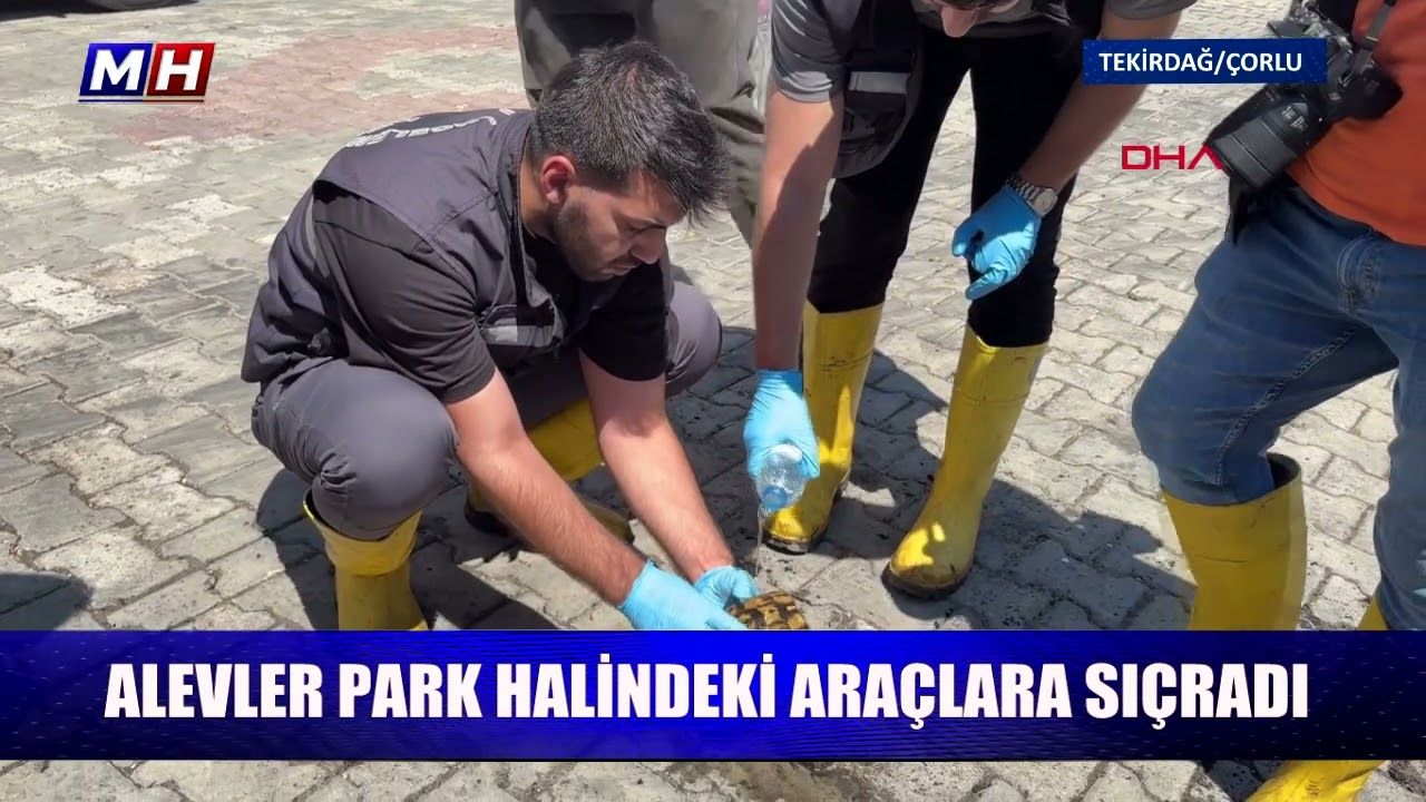 Alevler park halinde ki araçlara sıçradı