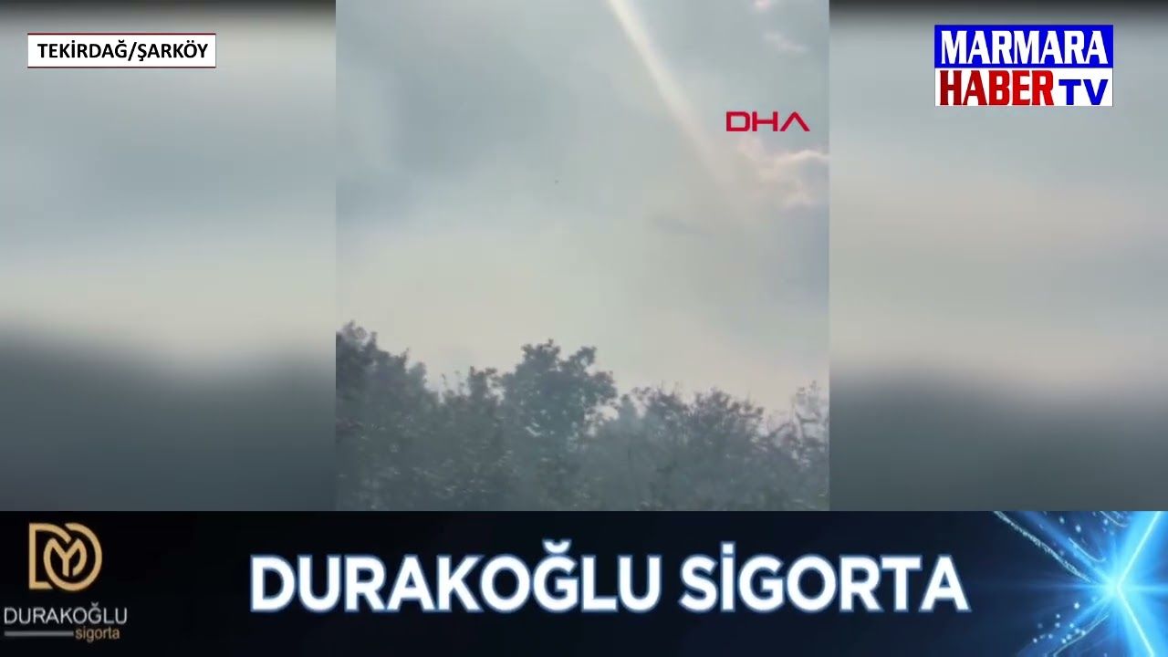 Anız yangınında alevler ormana sıçradı