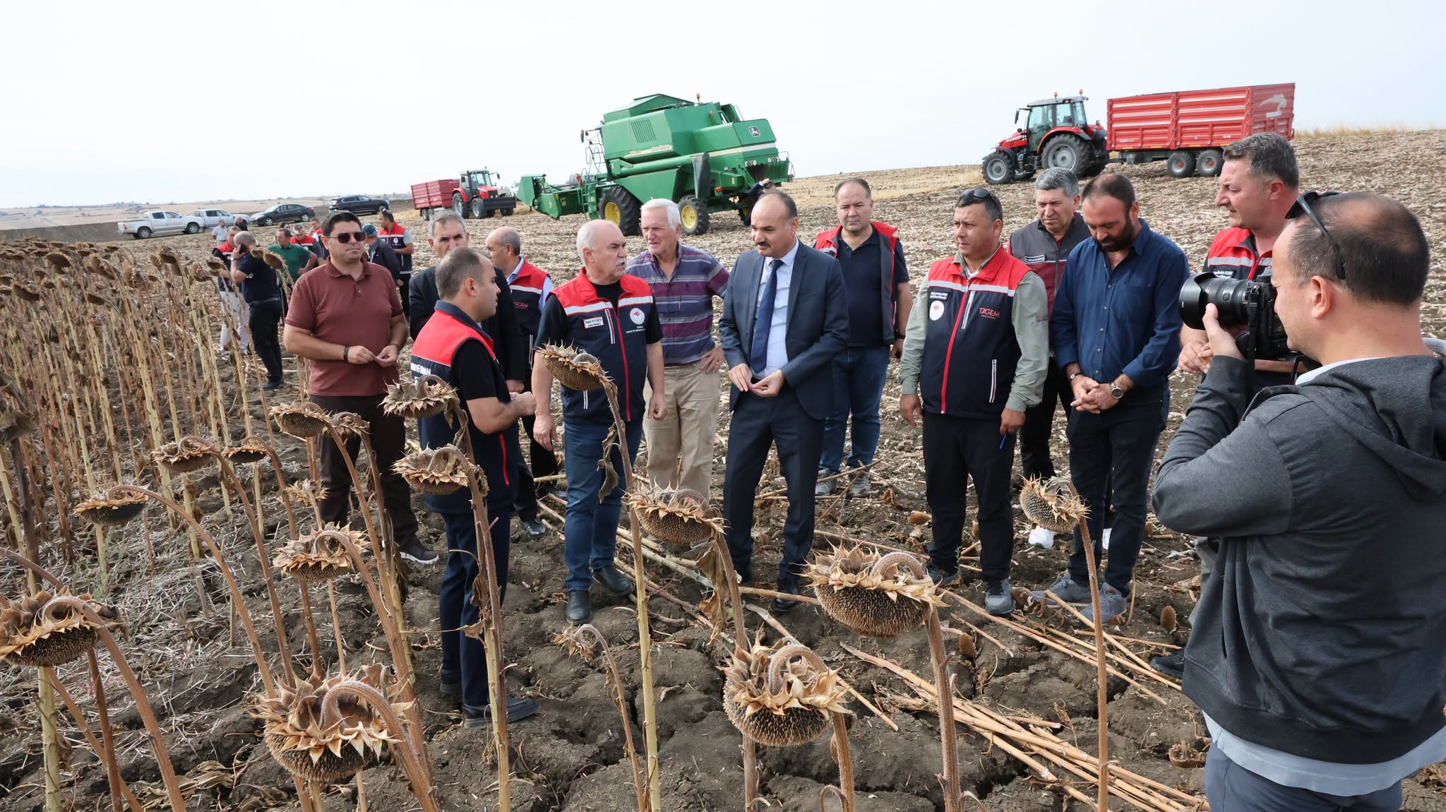 Ayçiçeğinde 40 kiloluk fark: Anıza doğrudan ekim öne çıktı