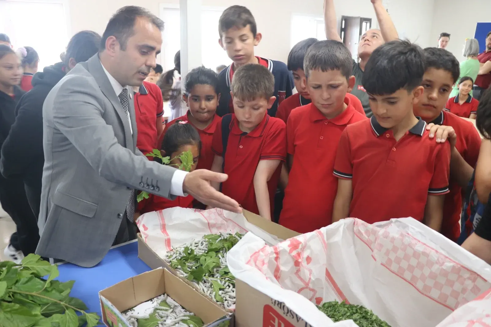 Öğrencilere ipek böceği yetiştiriciliği eğitimi verildi