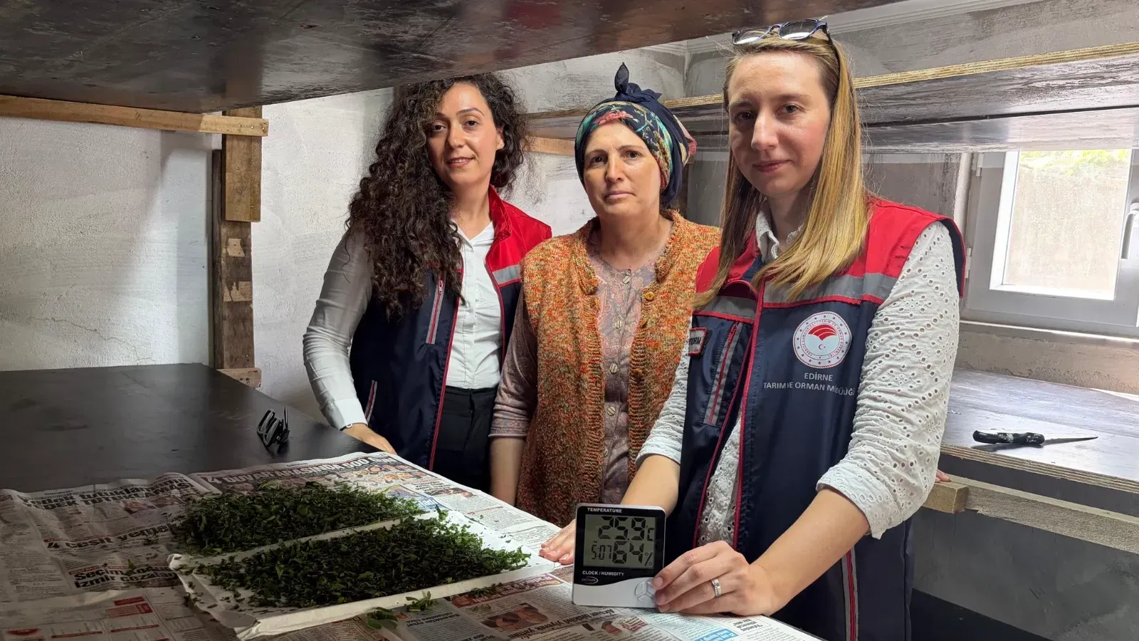 İpek böcekçiliği yeniden hayat buluyor