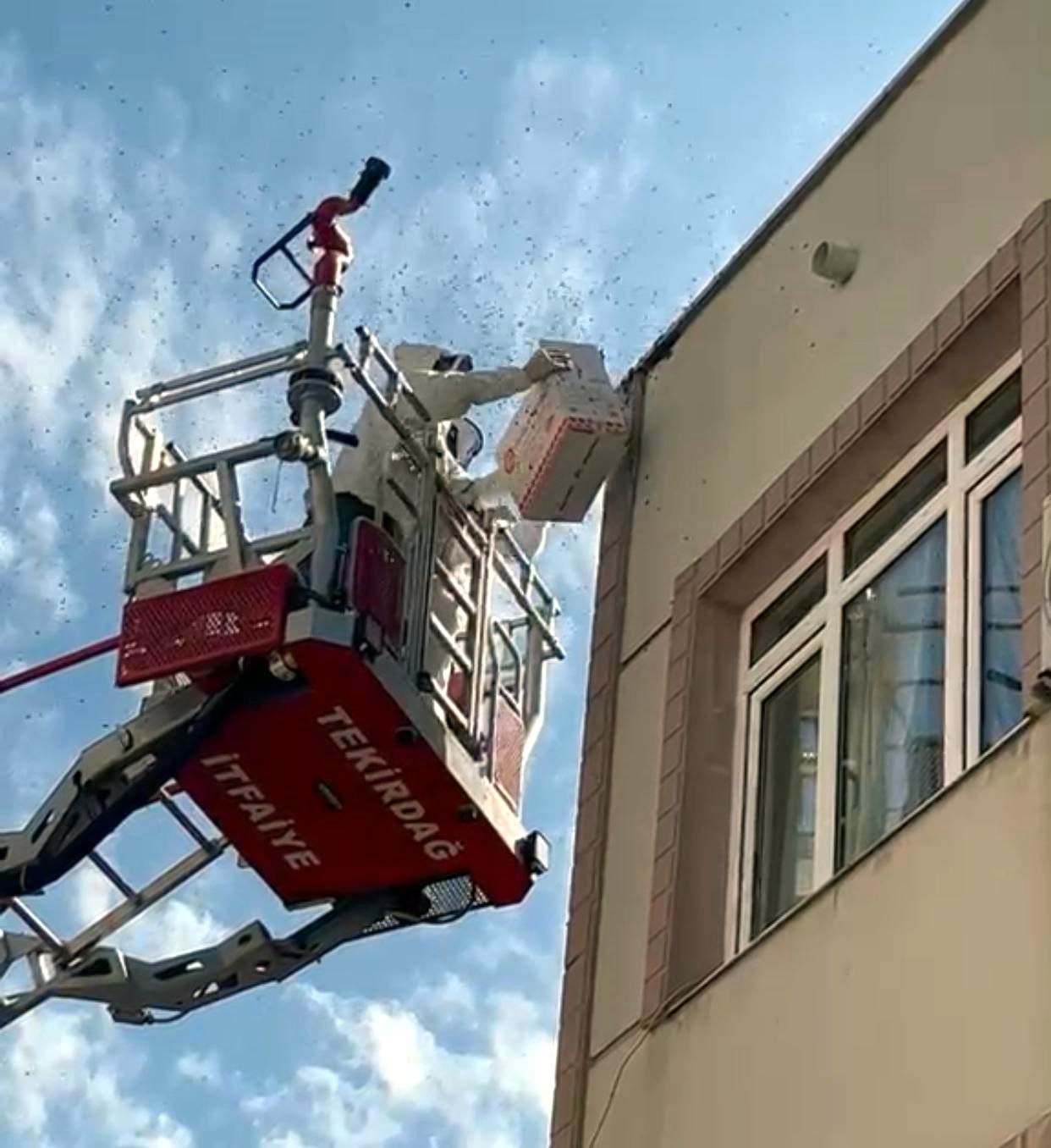 Oğul veren arılar paniğe neden oldu