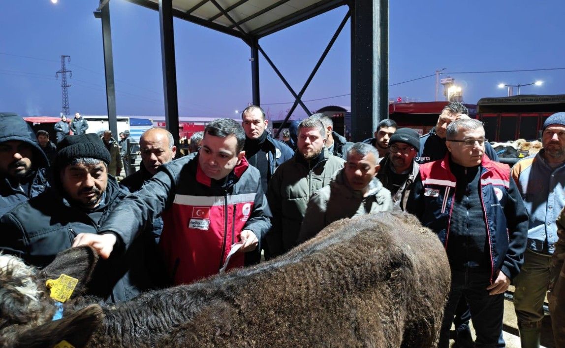 Canlı hayvan pazarında denetim