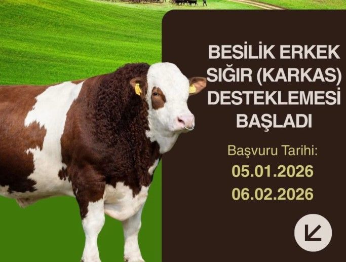 Destek için başvurular başladı