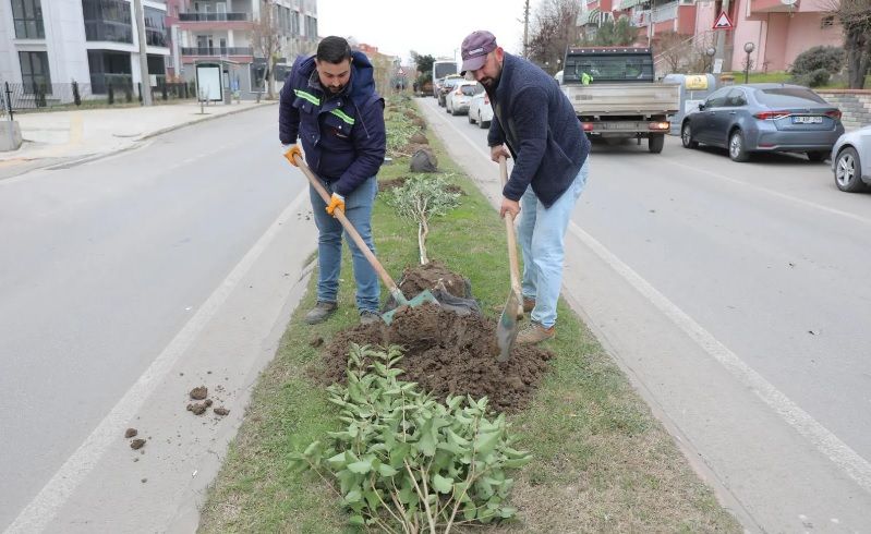 Başkan Gencan: Edirne hep birlikte yeşerecek
