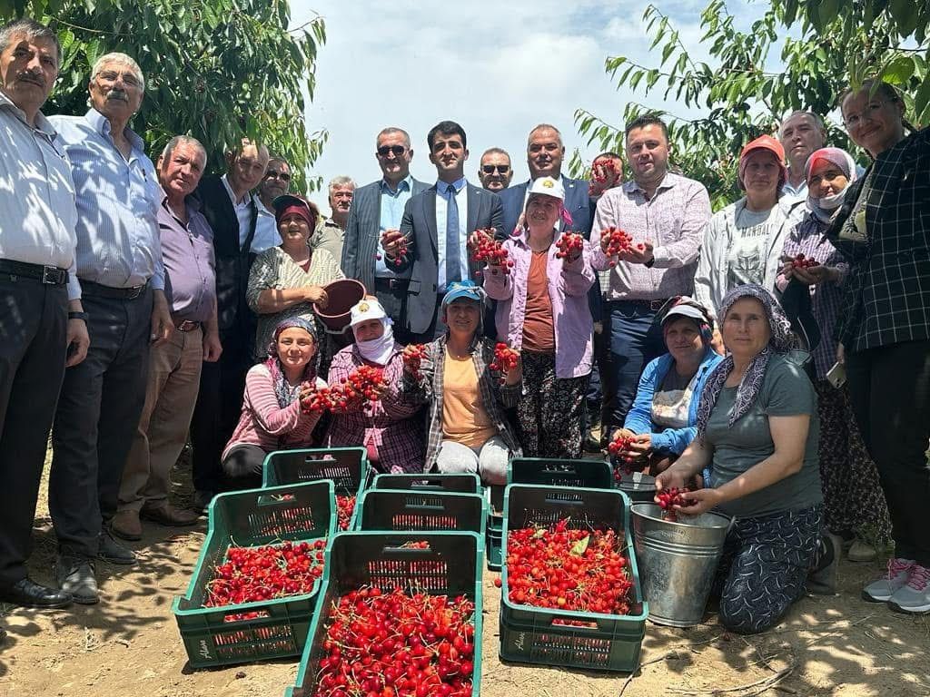 Çeribaşı Kirazı’na coğrafi işaret