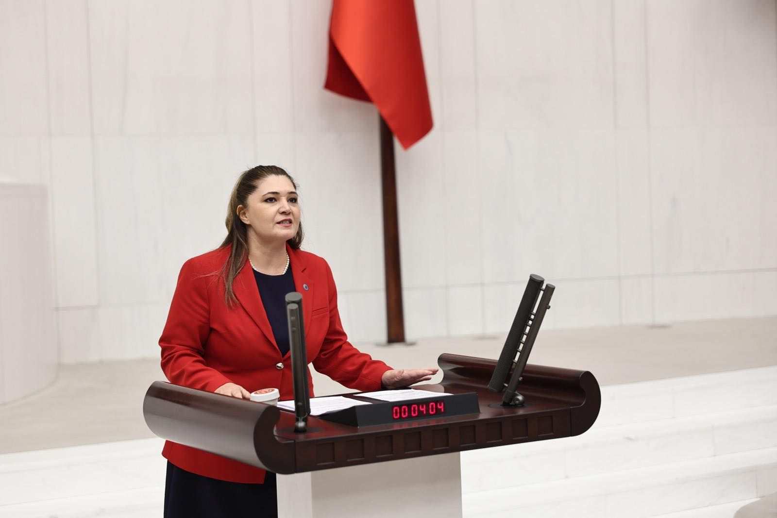 “Bu bütçeyle iyi bir gelecek inşa edilemez ancak pansuman yapılır”