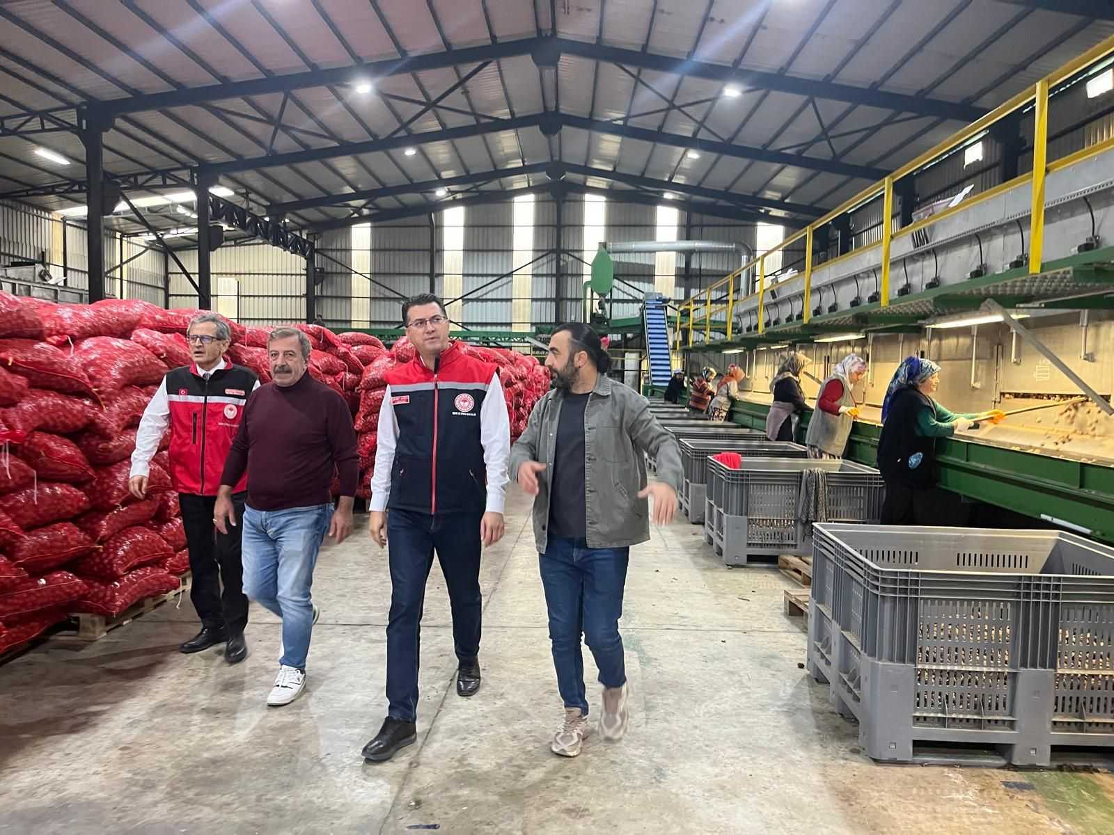 Ceviz ayıklama ve paketleme tesisini ziyaret etti