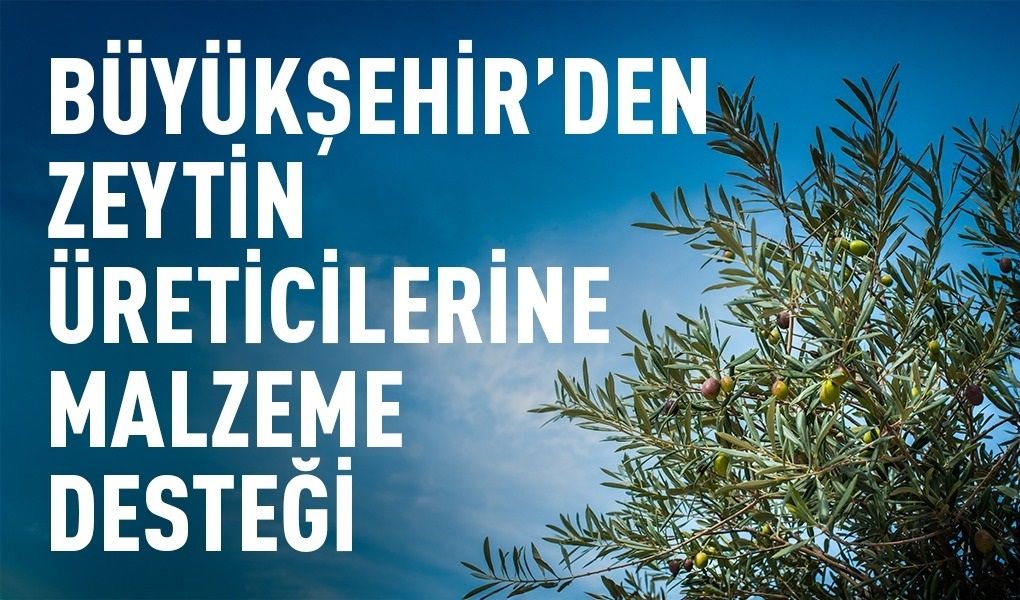 Zeytin üreticilerine malzeme desteği sağlanacak
