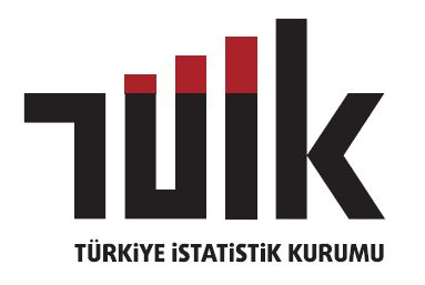 İnternet kullanan bireylerin oranı yüzde 90,9 oldu