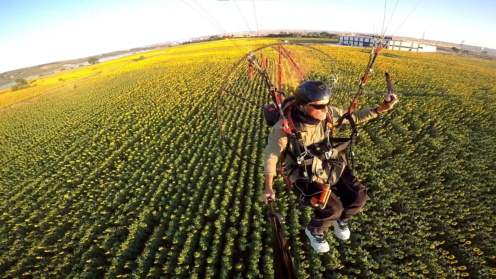 Ayçiçeği tarlaları üzerinde paramotorla uçtu