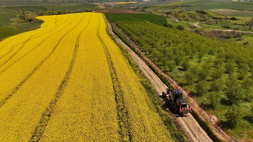 Tarla yollarında bakım ve düzenleme çalışması